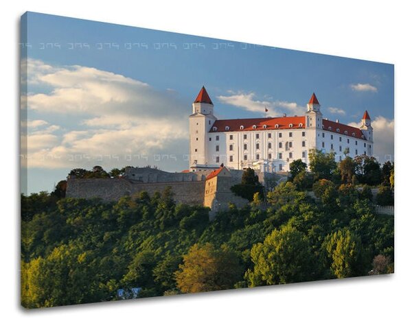 Obraz na stěnu SLOVENSKO - 20x30 cm