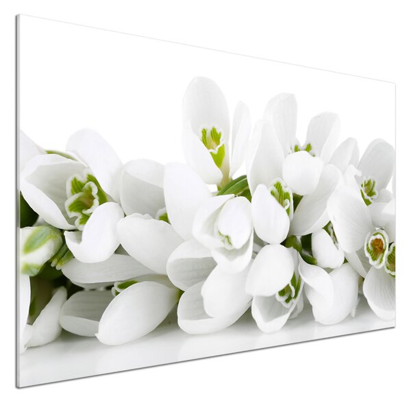Dekorační panel sklo Prvosenky pksh-61615324