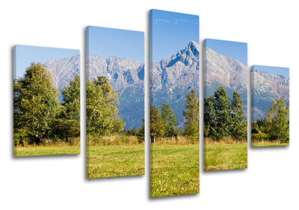 Obraz na stěnu 5 dílů SLOVENSKO - 100x80 cm