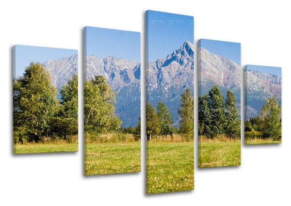 Obraz na stěnu 5 dílů SLOVENSKO - 100x80 cm