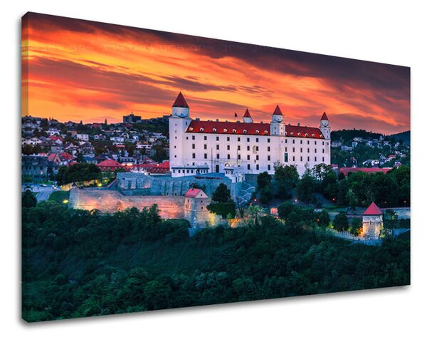 Obraz na stěnu SLOVENSKO - 20x30 cm