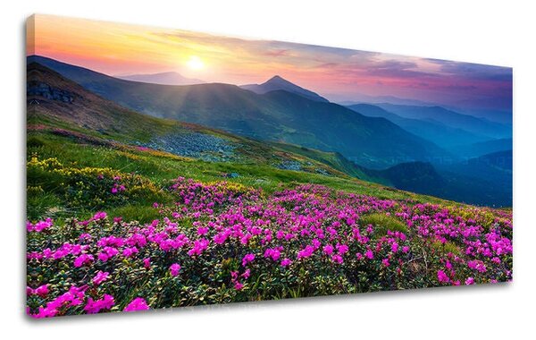 Obraz na stěnu PANORAMA SLOVENSKO - 30x60 cm