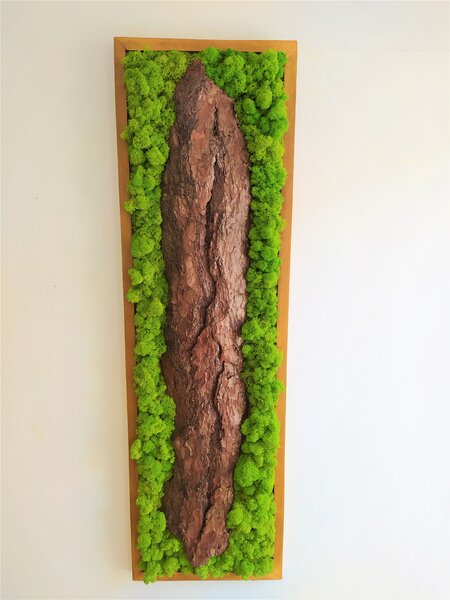 Mechový obraz s kůrou 115cm x 35cm