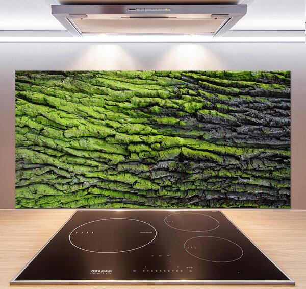 Dekorační panel sklo Kůra stromu pksh-61855396