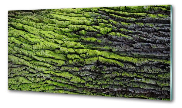 Dekorační panel sklo Kůra stromu pksh-61855396