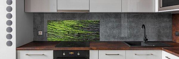 Dekorační panel sklo Kůra stromu pksh-61855396
