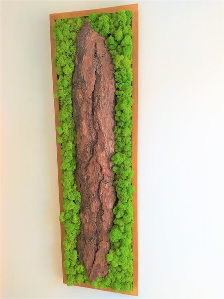 Mechový obraz s kůrou 115cm x 35cm