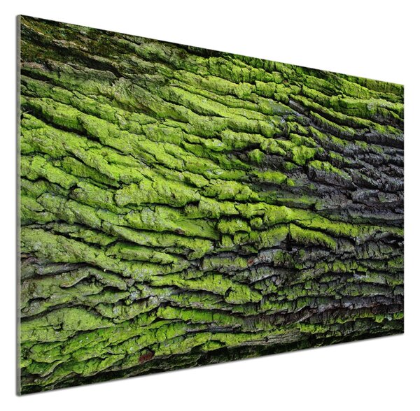 Dekorační panel sklo Kůra stromu pksh-61855396