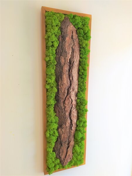Mechový obraz s kůrou 115cm x 35cm