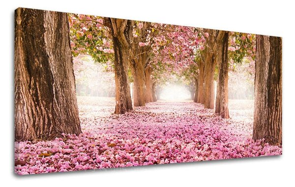 Obraz na stěnu PANORAMA STROMY - 30x60 cm