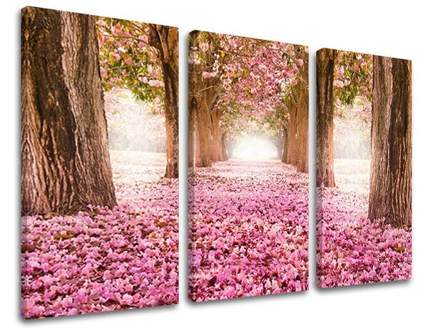 3dílný obraz na stěnu STROMY - 60x40 cm