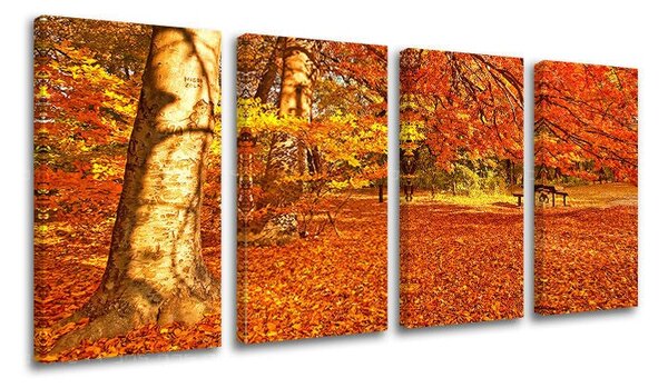 4dílný obraz na stěnu STROMY - 80x40 cm