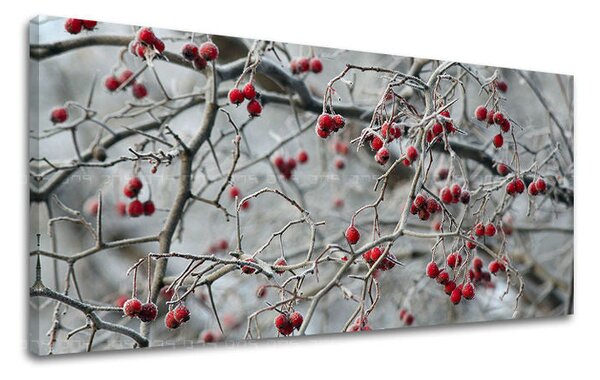 Obraz na stěnu PANORAMA STROMY - 30x60 cm