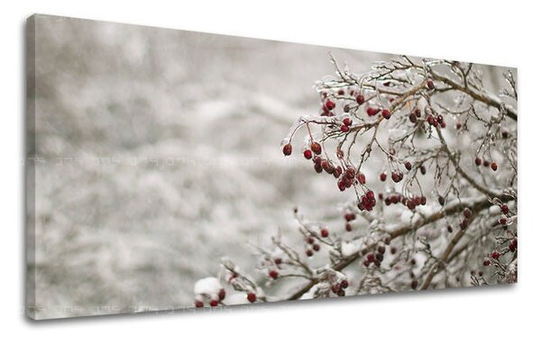 Obraz na stěnu PANORAMA STROMY - 30x60 cm