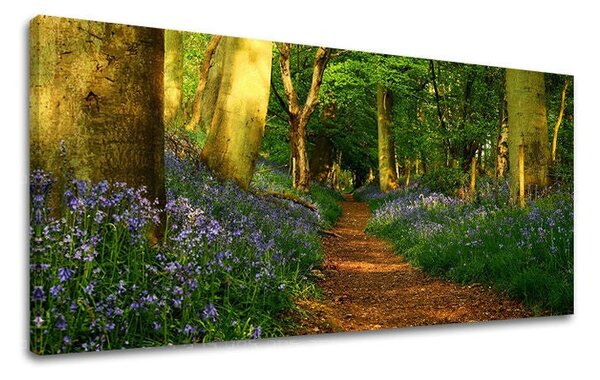 Obraz na stěnu PANORAMA STROMY - 30x60 cm