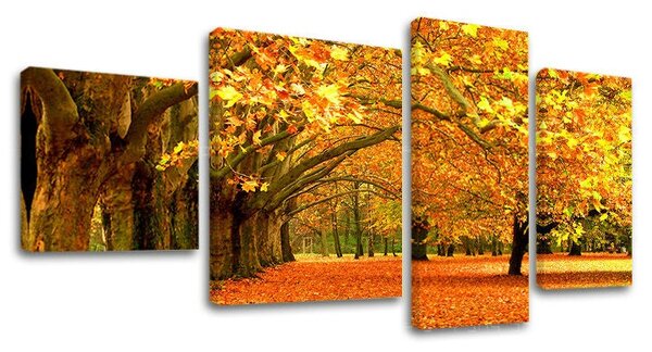 Obraz na plátně 4 díly STROMY - 90x50 cm