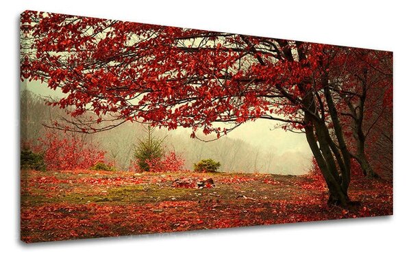 Obraz na stěnu PANORAMA STROMY - 30x60 cm