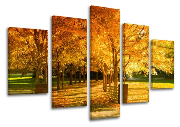 5dílný obraz na stěnu STROMY - 100x80 cm