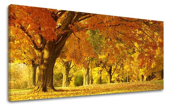 Obraz na stěnu PANORAMA STROMY - 30x60 cm