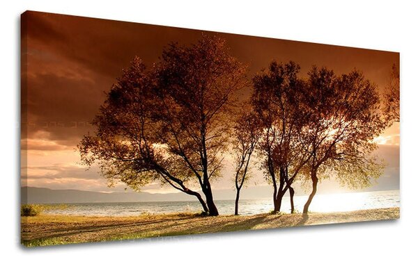 Obraz na stěnu PANORAMA STROMY - 30x60 cm