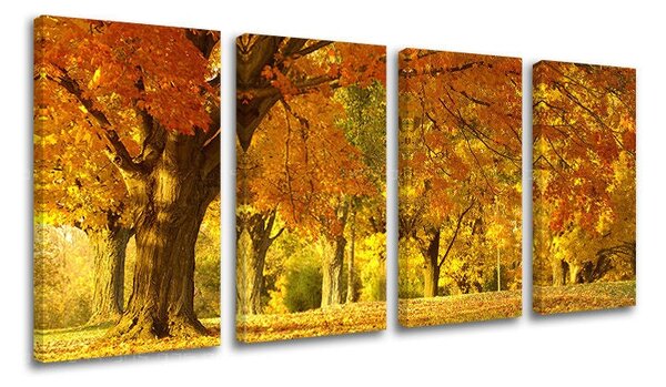 4dílný obraz na stěnu STROMY - 80x40 cm