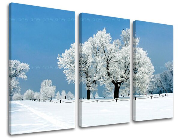 3dílný obraz na stěnu STROMY - 60x40 cm