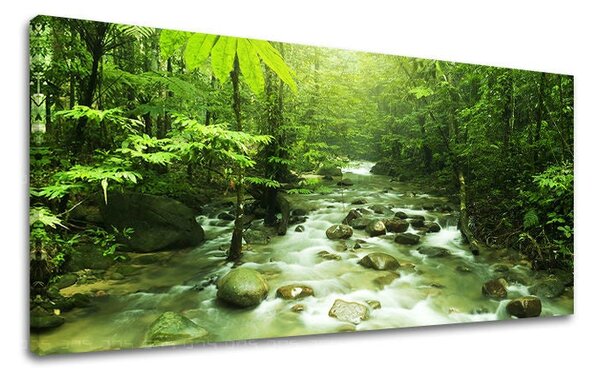Obraz na stěnu PANORAMA STROMY - 30x60 cm