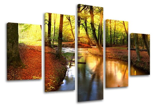 5dílný obraz na stěnu STROMY - 100x80 cm
