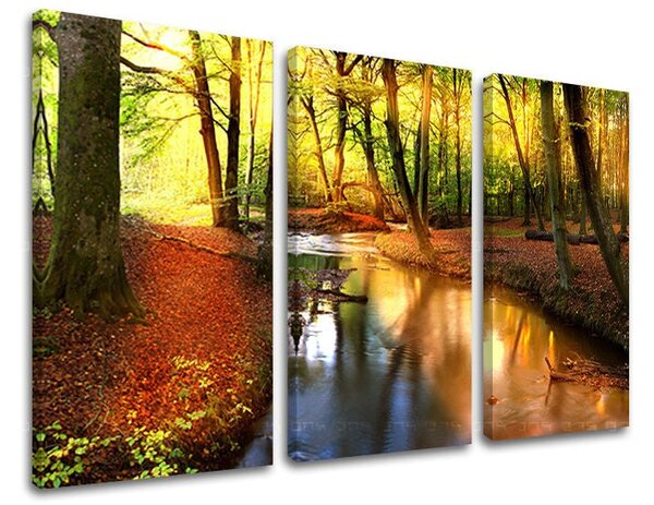 3dílný obraz na stěnu STROMY - 60x40 cm