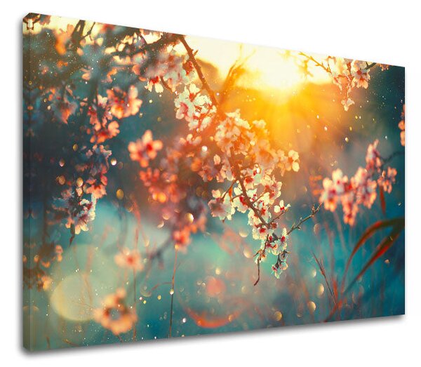 Obraz na stěnu STROMY_037-11 - 20x30 cm