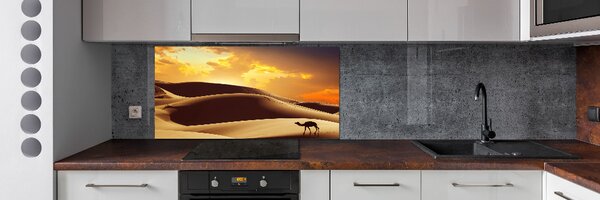 Panel do kuchyně Velbloud Sahara pksh-62618383