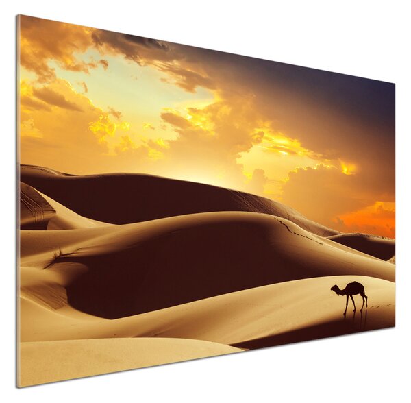 Panel do kuchyně Velbloud Sahara pksh-62618383