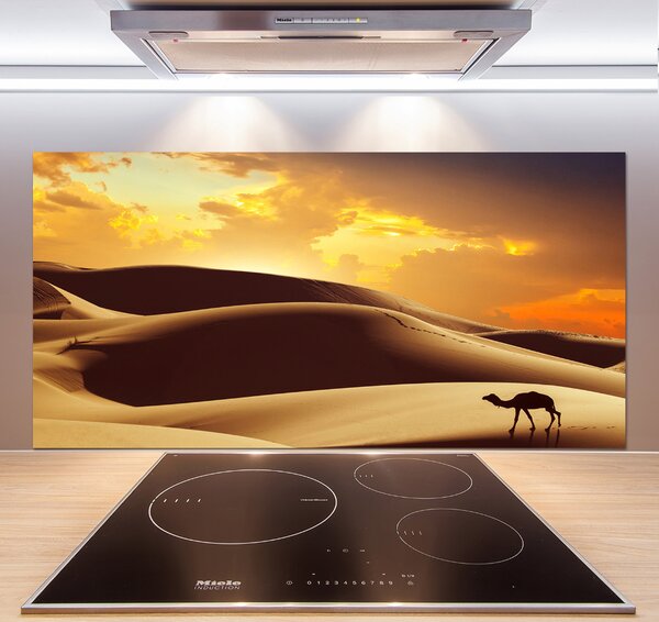 Panel do kuchyně Velbloud Sahara pksh-62618383