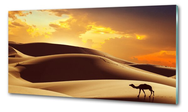 Panel do kuchyně Velbloud Sahara pksh-62618383
