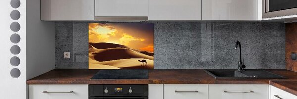 Panel do kuchyně Velbloud Sahara pksh-62618383