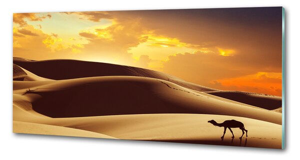 Panel do kuchyně Velbloud Sahara pksh-62618383