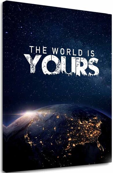 Obraz na plátně THE WORLD IS YOURS - Inspirativní dekorace - 30x40 cm