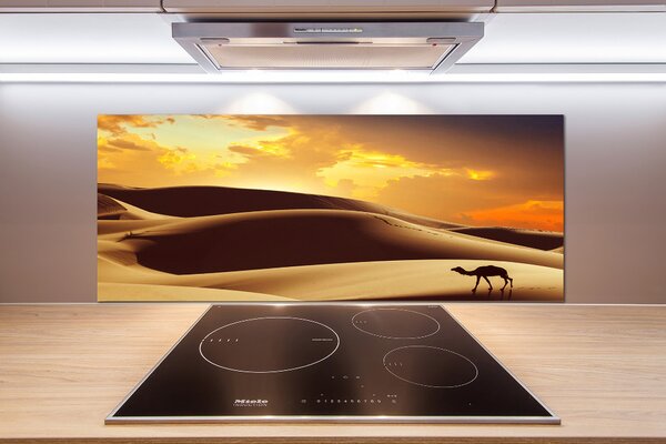 Panel do kuchyně Velbloud Sahara pksh-62618383
