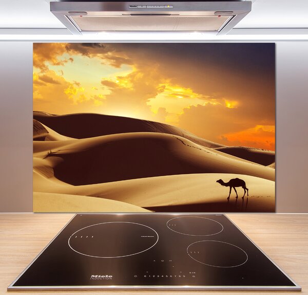 Panel do kuchyně Velbloud Sahara pksh-62618383