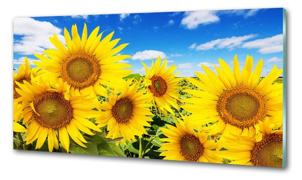 Dekorační panel sklo Slunečníky pksh-62796944