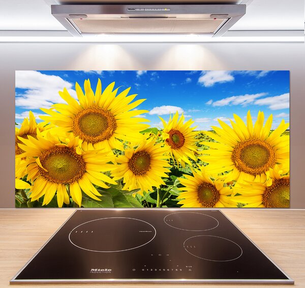 Dekorační panel sklo Slunečníky pksh-62796944