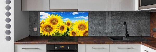 Dekorační panel sklo Slunečníky pksh-62796944