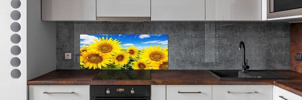 Dekorační panel sklo Slunečníky pksh-62796944