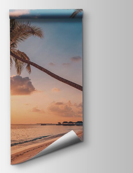 Fototapeta Pláž s palmami a vodní plochou, Plážové fototapety, Populární fototapety, u97886 - Tapeko.co.cz