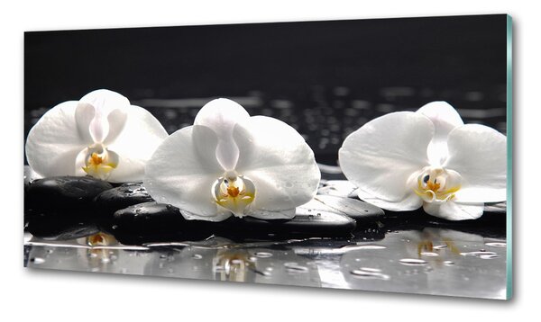 Skleněný panel do kuchynské linky Orchidej pksh-62952104
