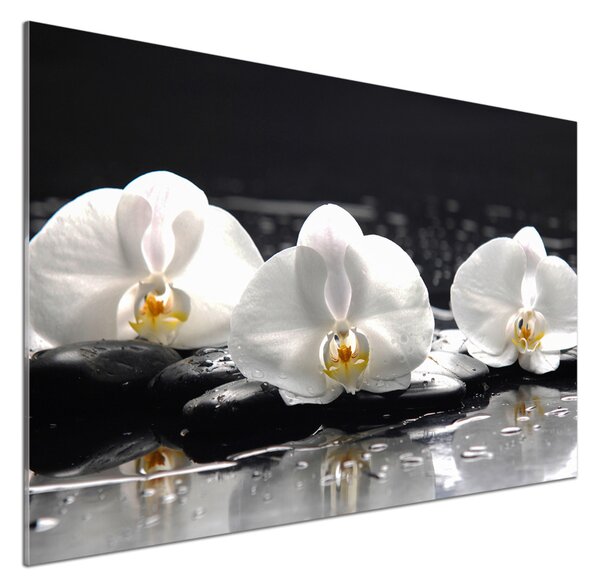 Skleněný panel do kuchynské linky Orchidej pksh-62952104