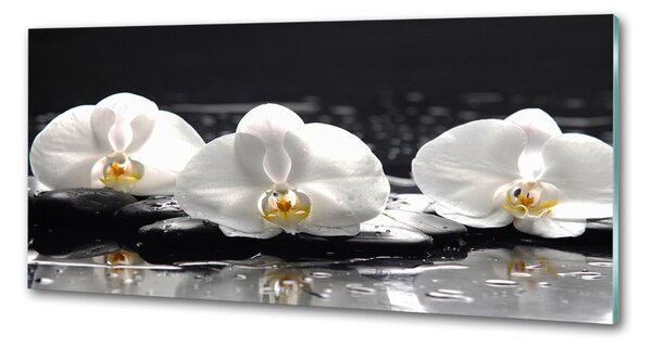 Skleněný panel do kuchynské linky Orchidej pksh-62952104