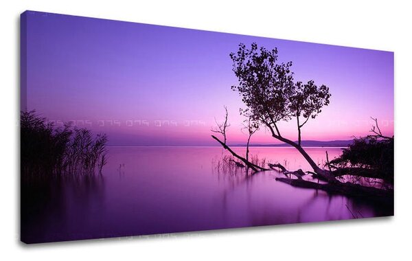 Obraz na stěnu PANORAMA ZÁPAD SLUNCE - 30x60 cm