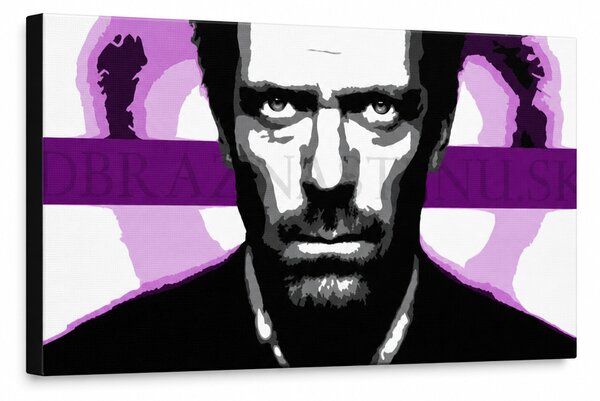 Ručně malovaný obraz POP Art Dr. HOUSE 1 kus 1010 dh - 80x40 cm