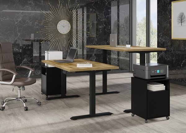 BIM Nastavitelný elektrický stůl BIMOTION 2S 160x80 Barva: Černý mat/přírodní dub